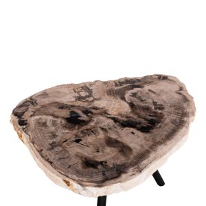 Side table Saman Hm9931 metal black legs-petrified wood top 70x55x40hcm.