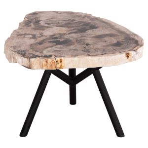 Side table Saman Hm9931 metal black legs-petrified wood top 70x55x40hcm.