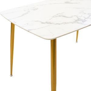 Dining table Paris with 8mm tempered glass top 120x80x75cm
