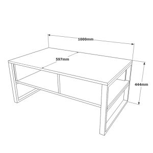 Coffee table Honora100x60x44.5cm