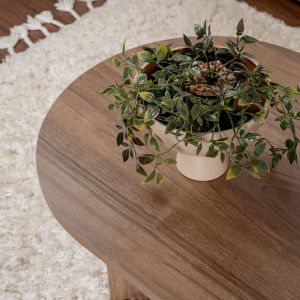 Coffee table Tabletod in walnut color 119x60x40cm