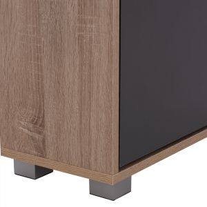 3-tier shoe cabinet, gray/sonoma color, Davina Hm2221.04, 62χ24χ110