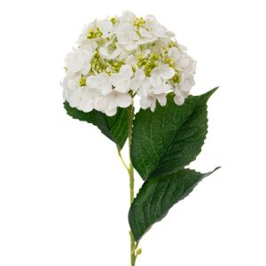 Hydrangea stem Real Touch cream D18X61.5 cm