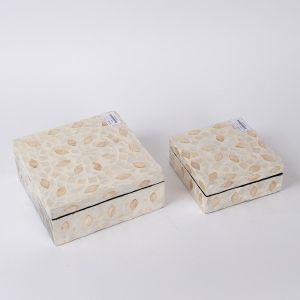 Decorative box S/2, beige, mussels, iridescent white 20X20X8CM / 15X15X6CM