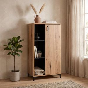 Витрина Alba Artisan дъб - черен 68X40X134СМ