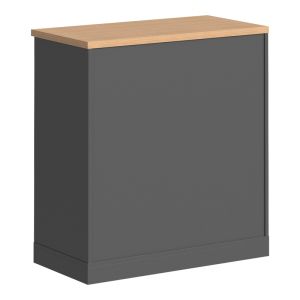 Нисък офис шкаф Fesialo в цвят естествен антрацит 80x41x80см